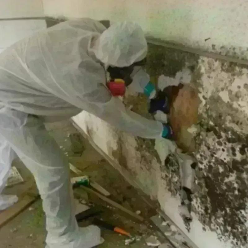 Mold Remediation and Removal in Mountrail County, ND